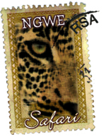 NGWE SAFARI - Your Distinctive Guide to Africa