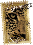 NGWE SAFARI - Your Distinctive Guide to Africa